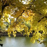 0909F 136 Kulmbach-Koblenz